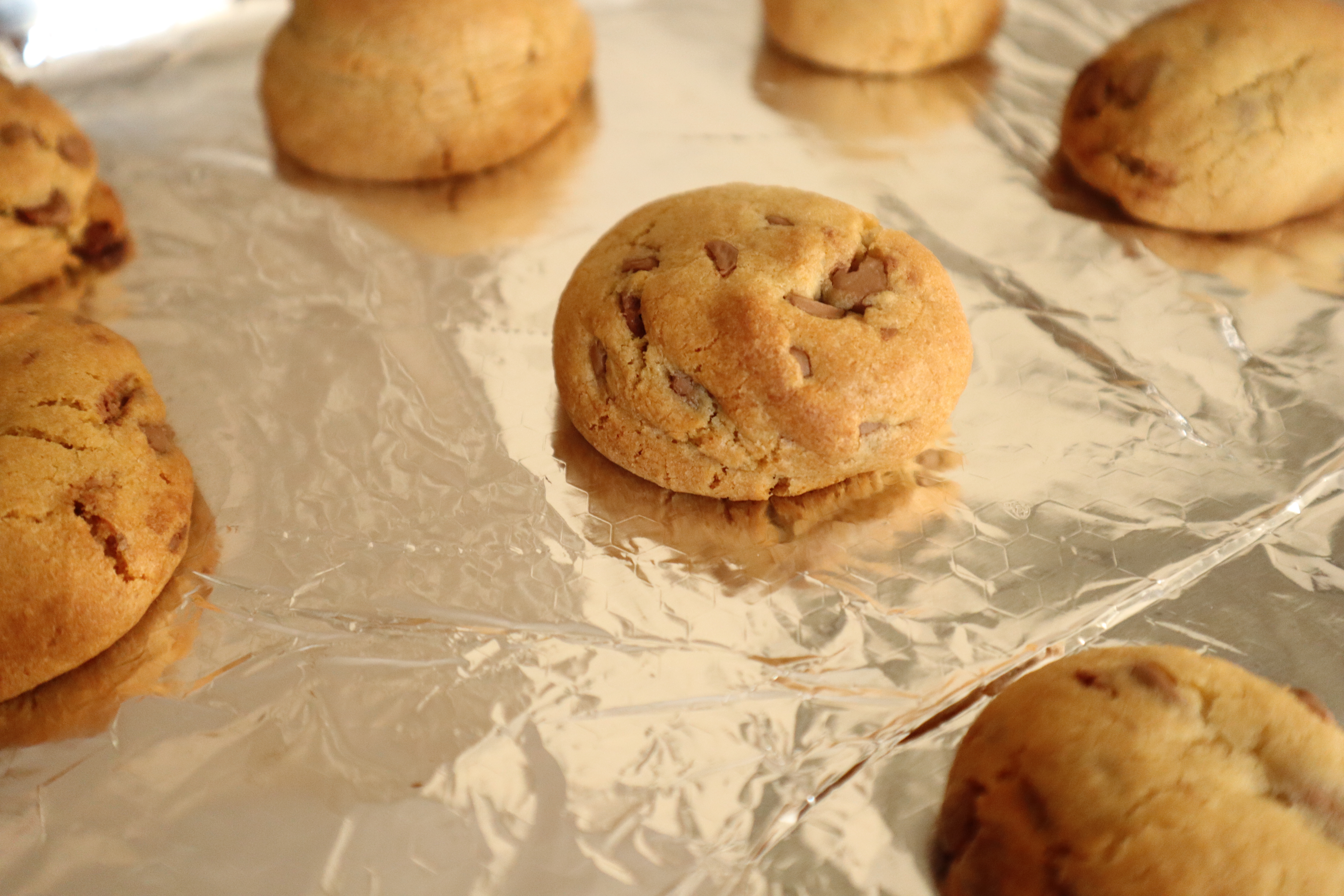 Chocolate Chip Cookie 1