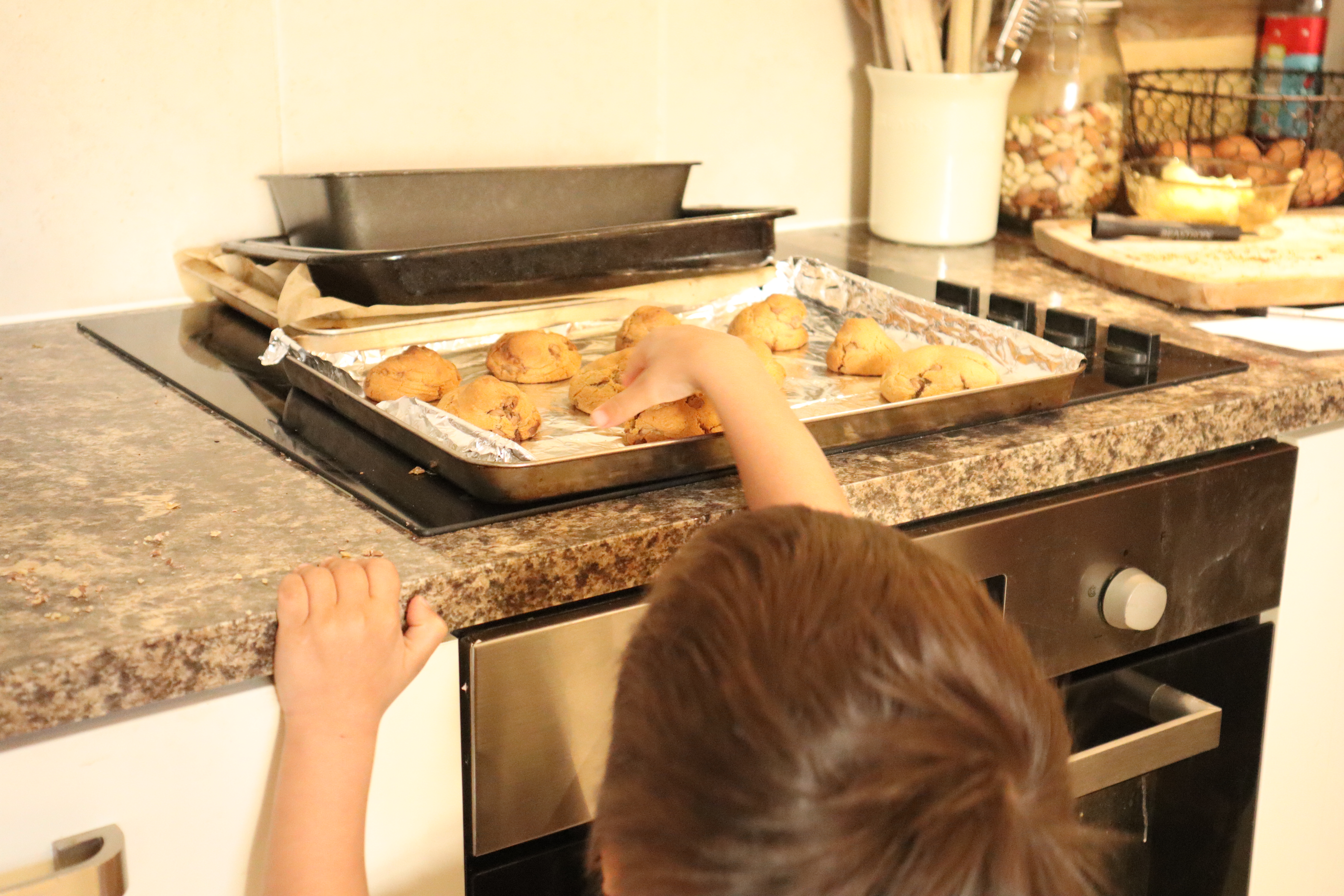 Chocolate Chip Cookie 5