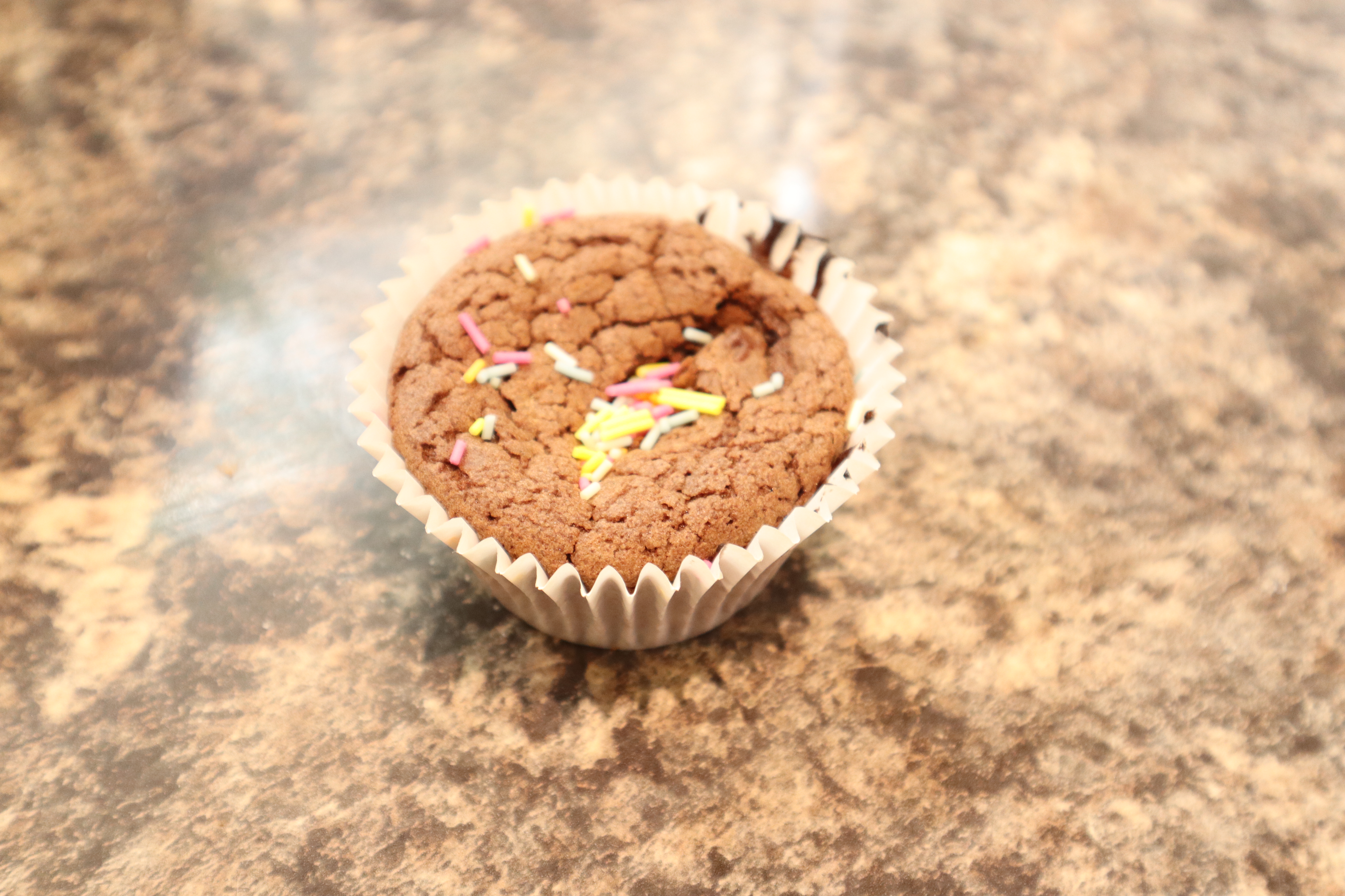 Chocolate Cupcake 2
