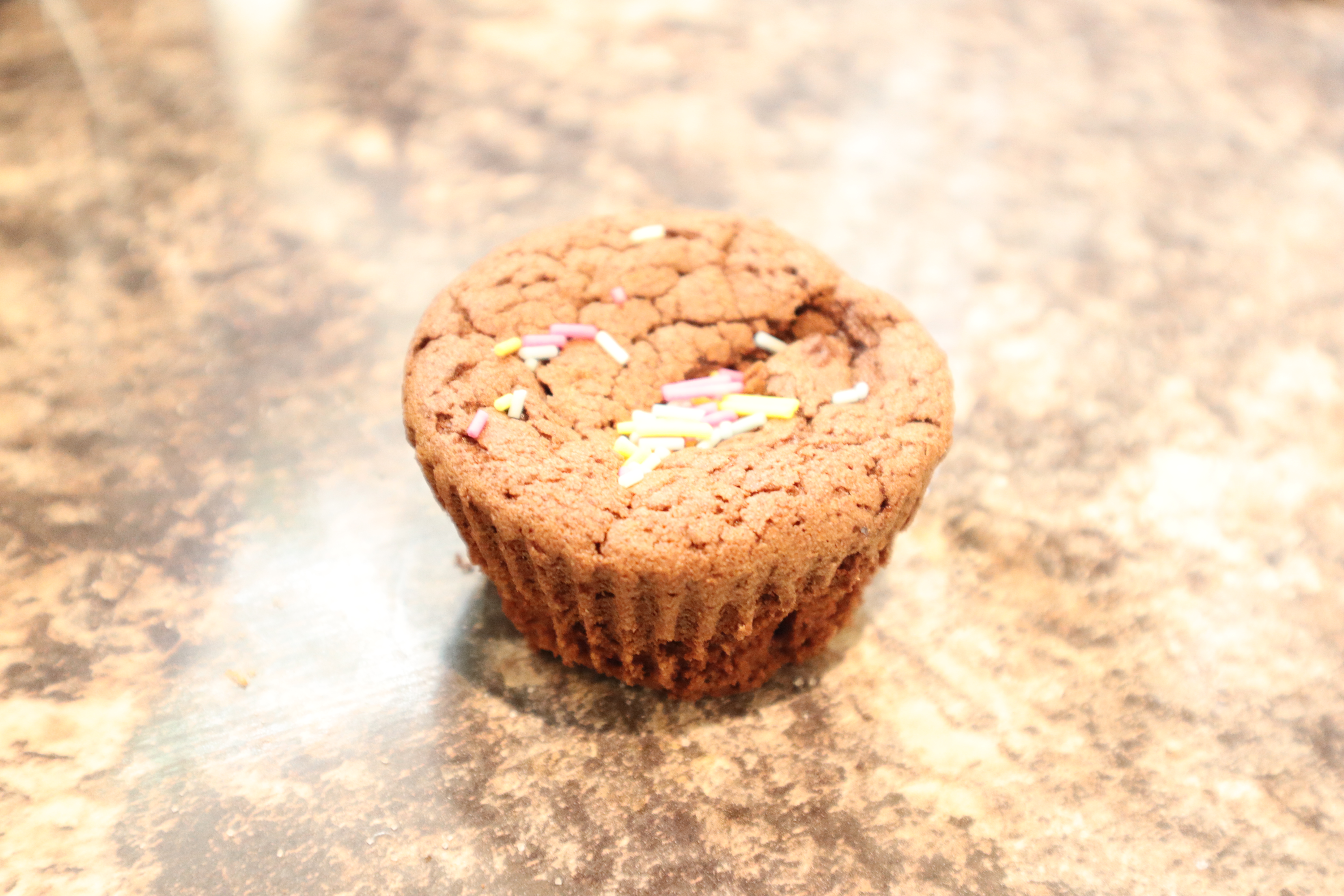 Chocolate Cupcake 3